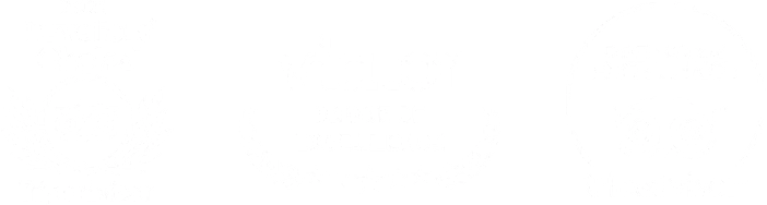 Tripvisor logo - Badge of excellence